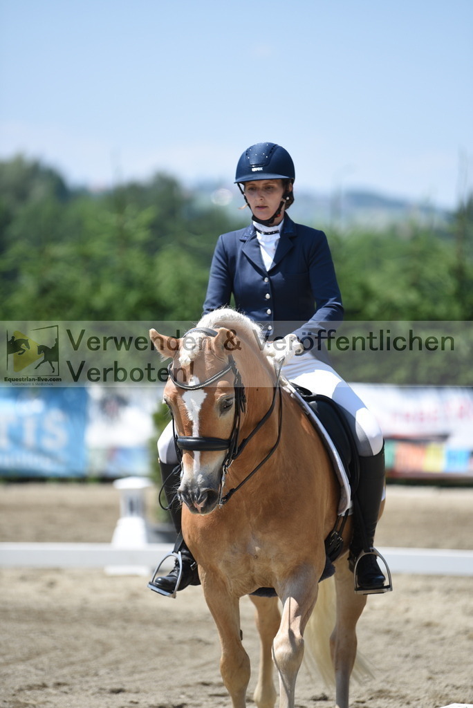 DSC_1029 | equestrian-live-com