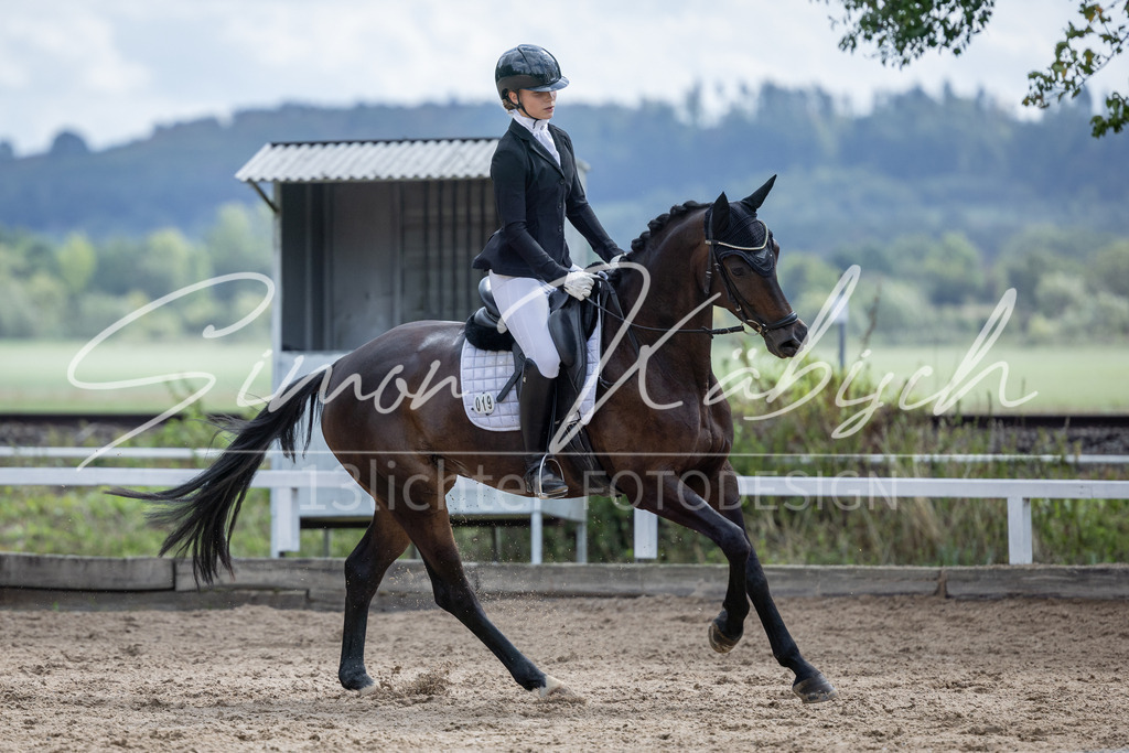 20260905-_3LI8026 | Tierfotografie Pferde, Hunde, Katzen, Haustiere.
Turnierfotografie Reitturniere, Reiten, Springreiten, Dressur in Hanau, dem Main-Kinzig-Kreis und dem Rhein-Main- Gebiet um Frankfurt