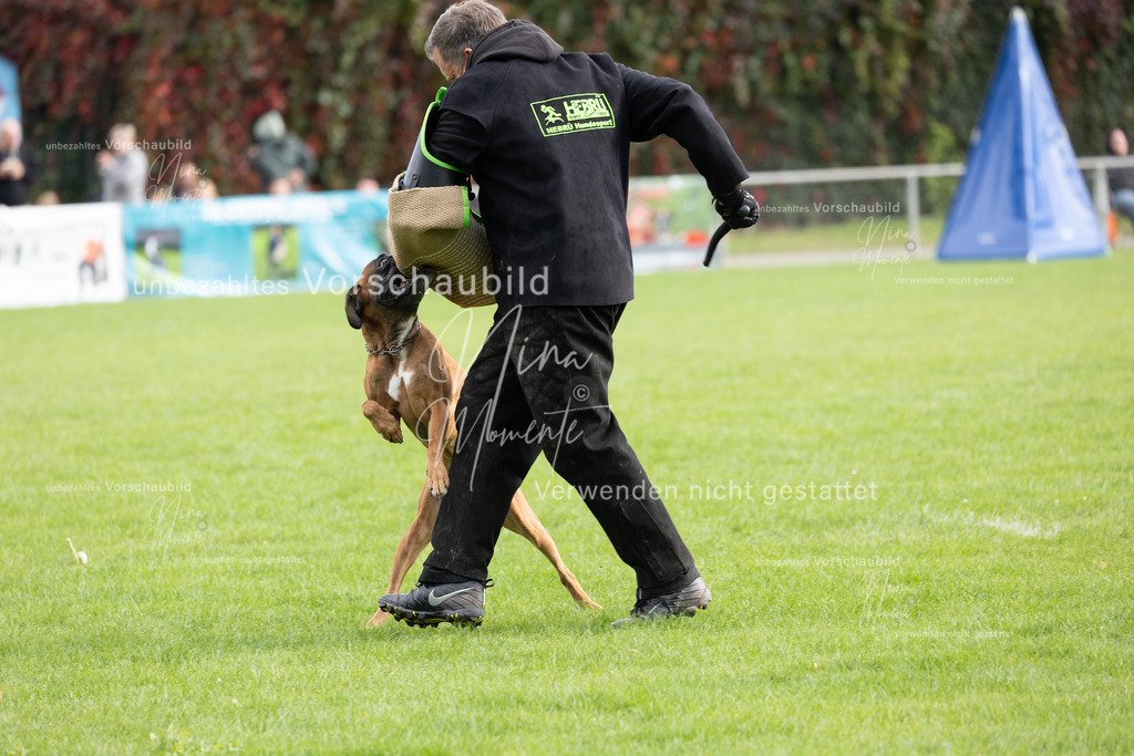 _16A7083 | Einzigartige Fotos von Hunden & Menschen –Actionfotos, Portraits, Vereinsaufnahmen & Paarshootings – authentisch, lebendig & mit Herz.