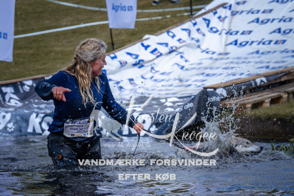 _ZZ937030941 | kk-dogfotos