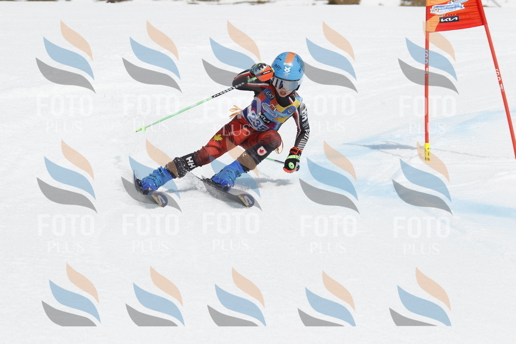 _U3G2600 | holidayphoto