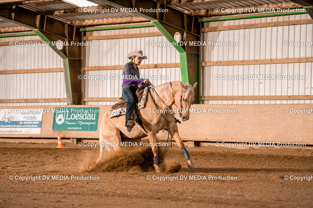 BA301121 | dv-media-shop - Realisiert mit Pictrs.com