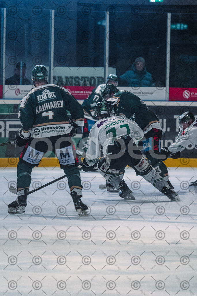 Erding_vs_Alligators_02_01_2026-68 | Höchstadt Alligators Fotogalerie: Eishockey-Action aus Franken. Professionelle Spielfotos, Portraits & Stadionbilder zum Download. Jetzt entdecken! - Realisiert mit Pictrs.com