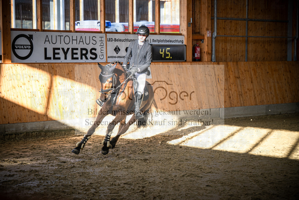DOS_0828 | Entdecke hochwertige Reitturnierfotos von Foto Oger. Professionell, emotional und authentisch – jetzt Lieblingsmomente im Shop bestellen.Deutschlandweite Turnierfotografie. - Realisiert mit Pictrs.com