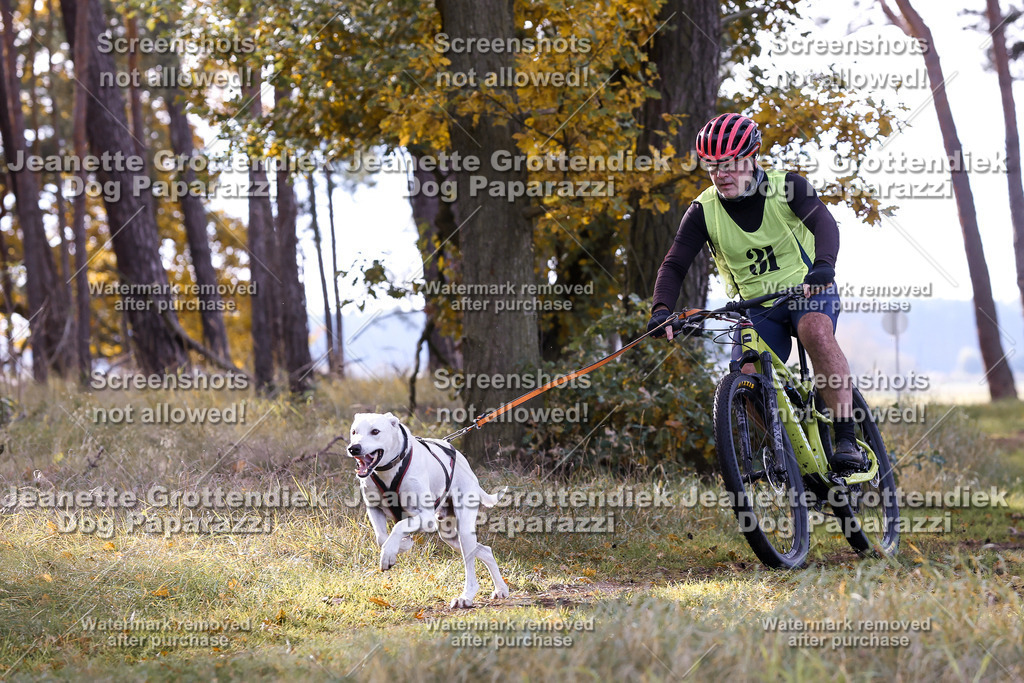 Dog Paparazzi - Elsholz 25 -130 | Dog Paparazzi Jeanette Grottendiek Fotografie & Videografie - Realisiert mit Pictrs.com