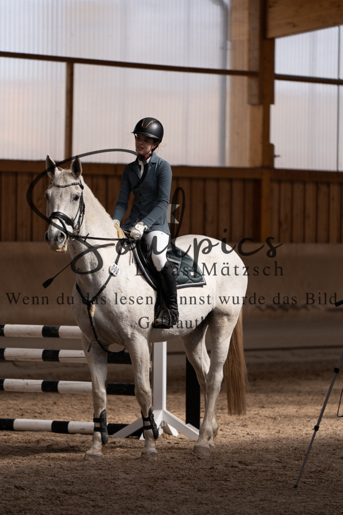 A7507719 | Pferdefotograf