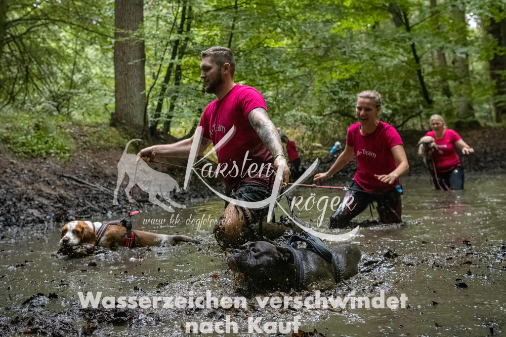 1144_ZZ91156-Bearbeitet-2 | kk-dogfotos