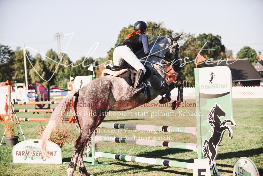 DSC_2159 | Pferde- und Turnierfotografie in Westsachsen. Pferdeportraits, Auftragszeichnungen und intuitive Kunst.