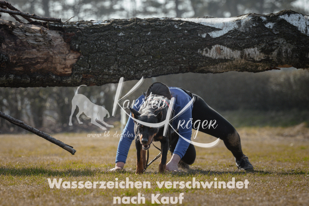1129_ZZ95305 | kk-dogfotos