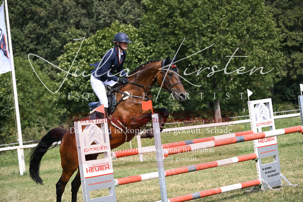 DSC_0794 | Pferde- und Turnierfotografie in Westsachsen. Pferdeportraits, Auftragszeichnungen und intuitive Kunst.