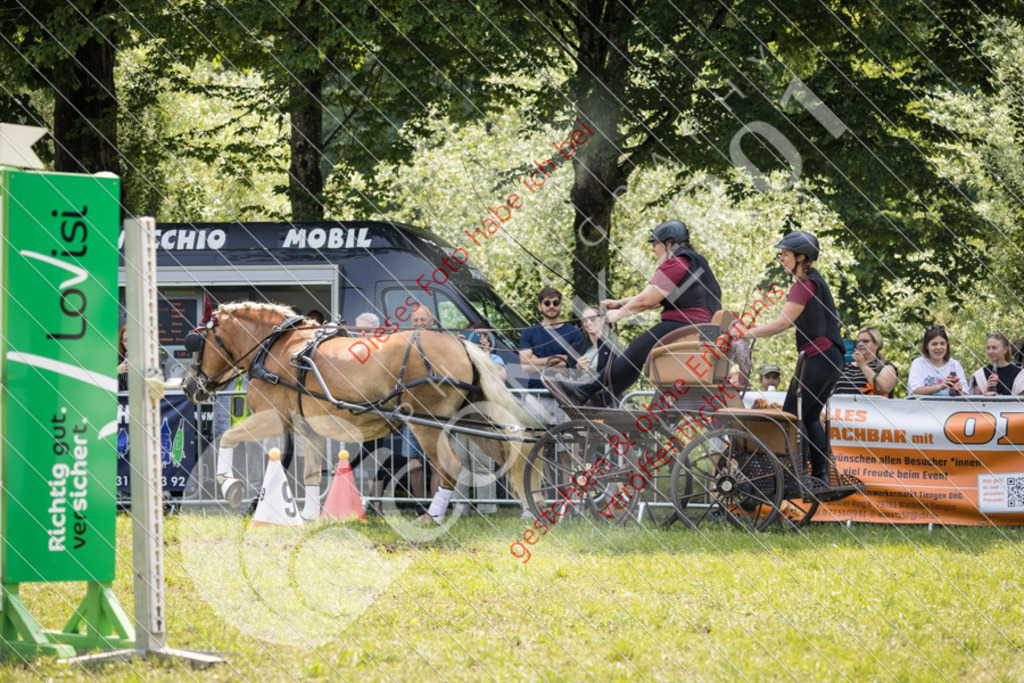IMG_8535 | Sport-, Event- und Tierfotos in Profiqualität. Einfach auswählen, bestellen und herunterladen. Dein Moment – perfekt festgehalten.