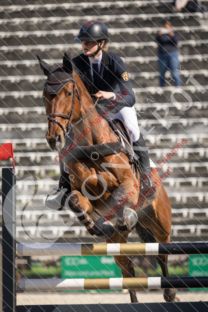 IMG_3935 | Sport-, Event- und Tierfotos in Profiqualität. Einfach auswählen, bestellen und herunterladen. Dein Moment – perfekt festgehalten.