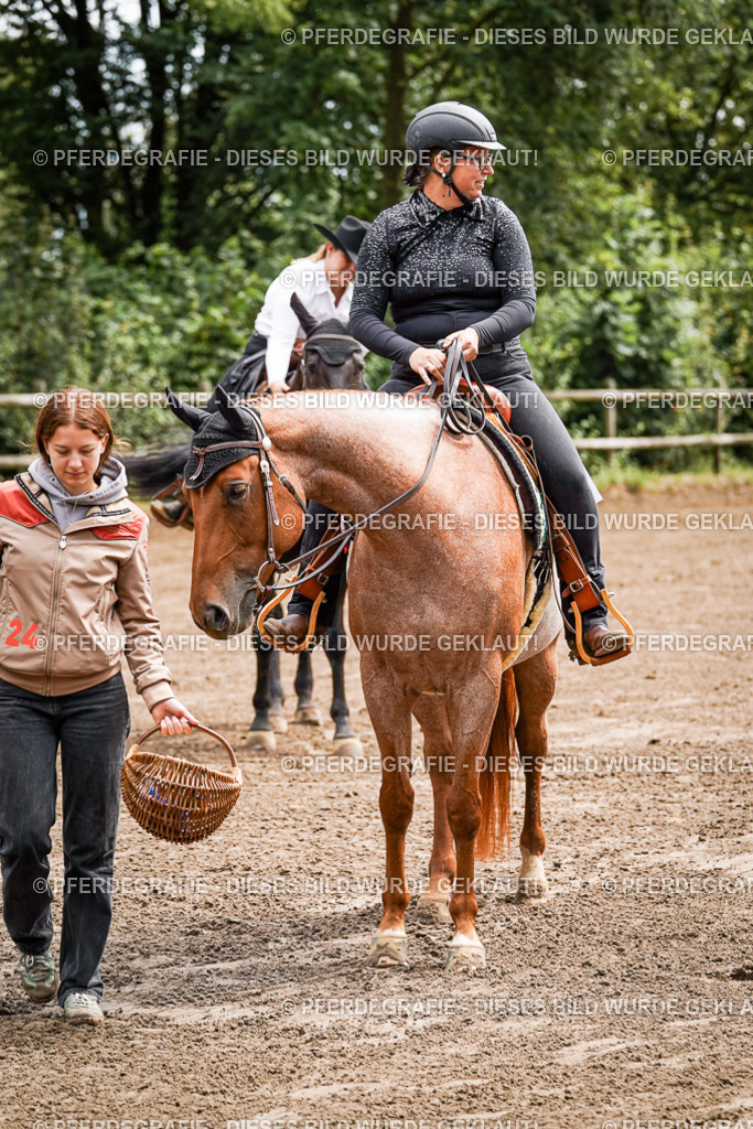 DSC05801 | Pferdegrafie