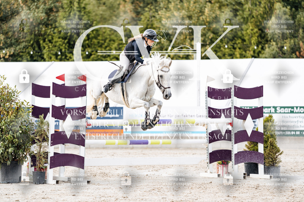 CK903897 | Turnierfotografie Pferdefotografie Trier Rheinland-Pfalz Pferdesport Reitsport Tierfotografie Sportfotografie Pferdevideo Pferdevideografie Equestrianvideography equestrianphotography  - Realisiert mit Pictrs.com