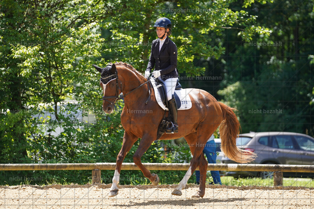 20240705-FAH03823 | Turnierbilder von Grafing, Reitsportbilder, Turnierfotos, Turnierfotografen Bayern, Pferdefotograf, Fotoagentur Herrmann
