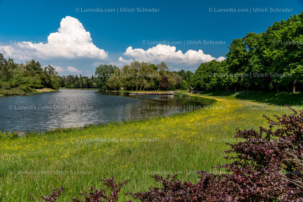10049-5637 - Wörlitzer Park _ Sachsen Anhalt | Stockfoto und Bilderpool mit Bildmaterial aus Deutschland, dem Harz, Halberstadt, Quedlinburg, Wernigerode und weltweit. Qualitativ hochwertige und professionelle Fotos anschauen und kaufen. - Realisiert mit Pictrs.com