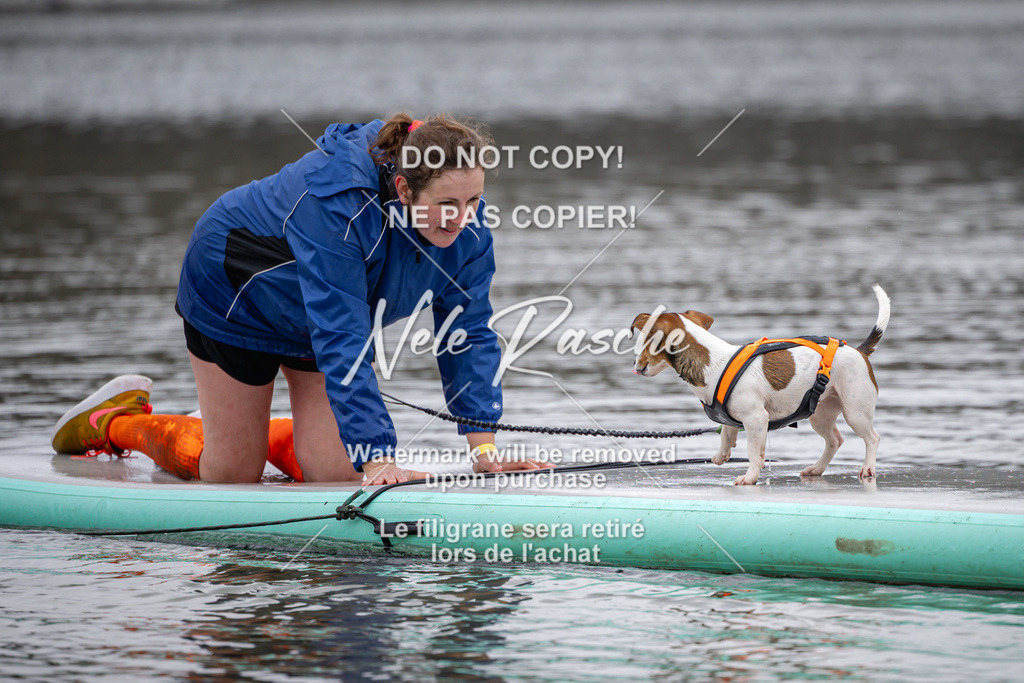 nelerasche_Hulsbeek_Sa1230-1330_650 | nelerasche