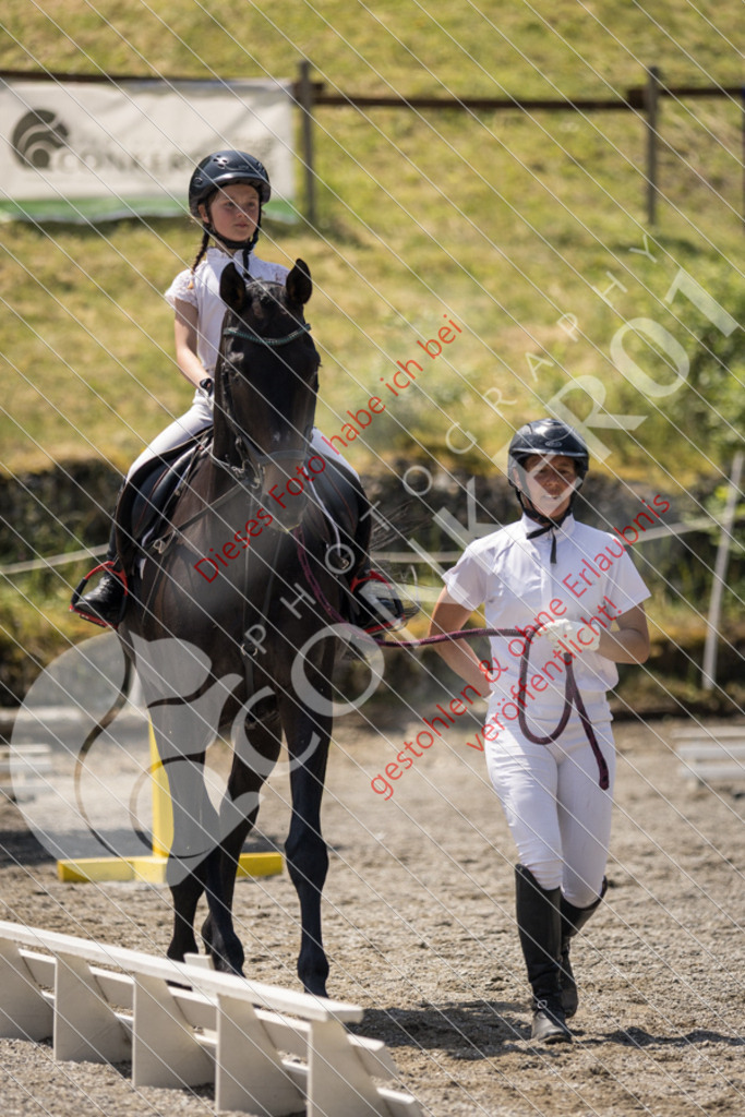 IMG_3452 | Sport-, Event- und Tierfotos in Profiqualität. Einfach auswählen, bestellen und herunterladen. Dein Moment – perfekt festgehalten.