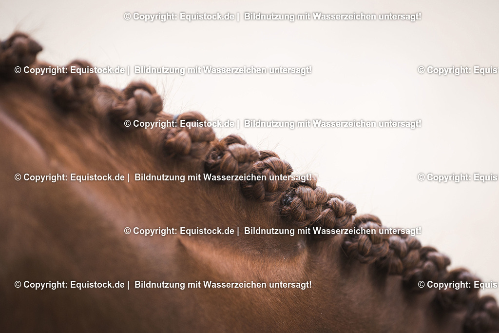 TS_20170501_Eingeflochtene_M__hne_0005 | Foto: Thomas Hartig