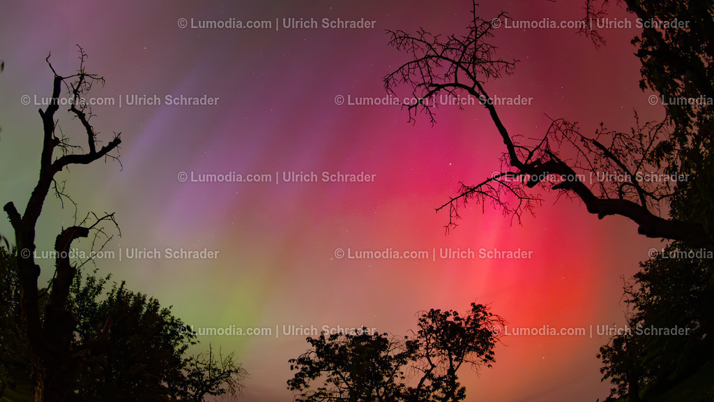 10049-13683 - Polarlichter im Harzkreis | Stockfoto und Bilderpool mit Bildmaterial aus Deutschland, dem Harz, Halberstadt, Quedlinburg, Wernigerode und weltweit. Qualitativ hochwertige und professionelle Fotos anschauen und kaufen. - Realisiert mit Pictrs.com