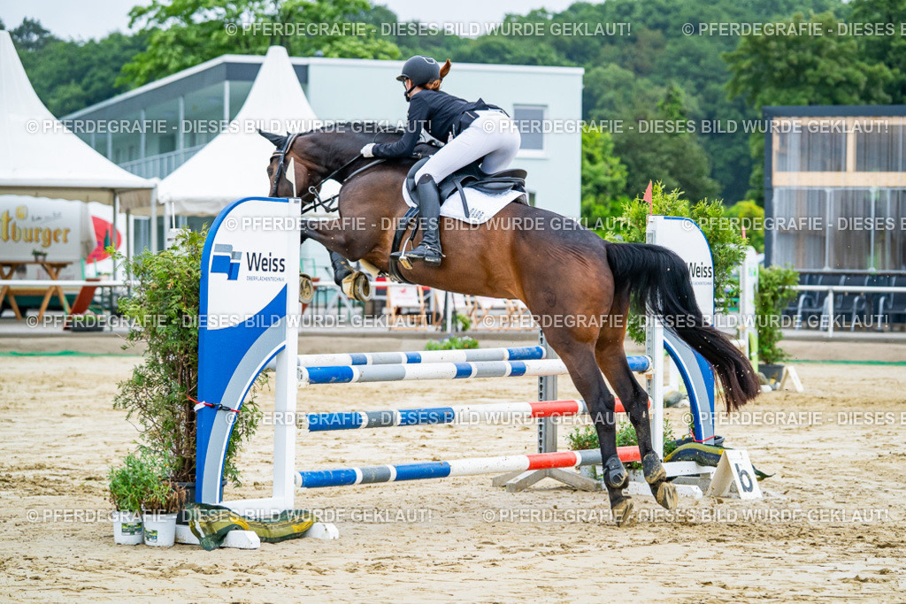 DSC02301 | Pferdegrafie