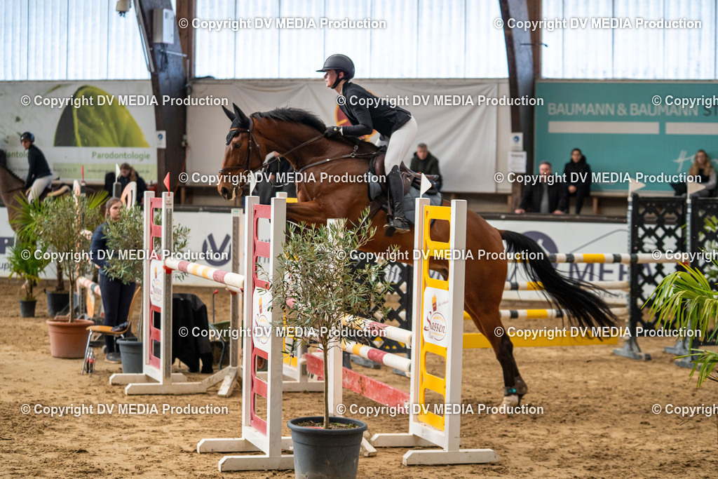 Kranichstein Tag 2-333 | dv-media-shop - Realisiert mit Pictrs.com