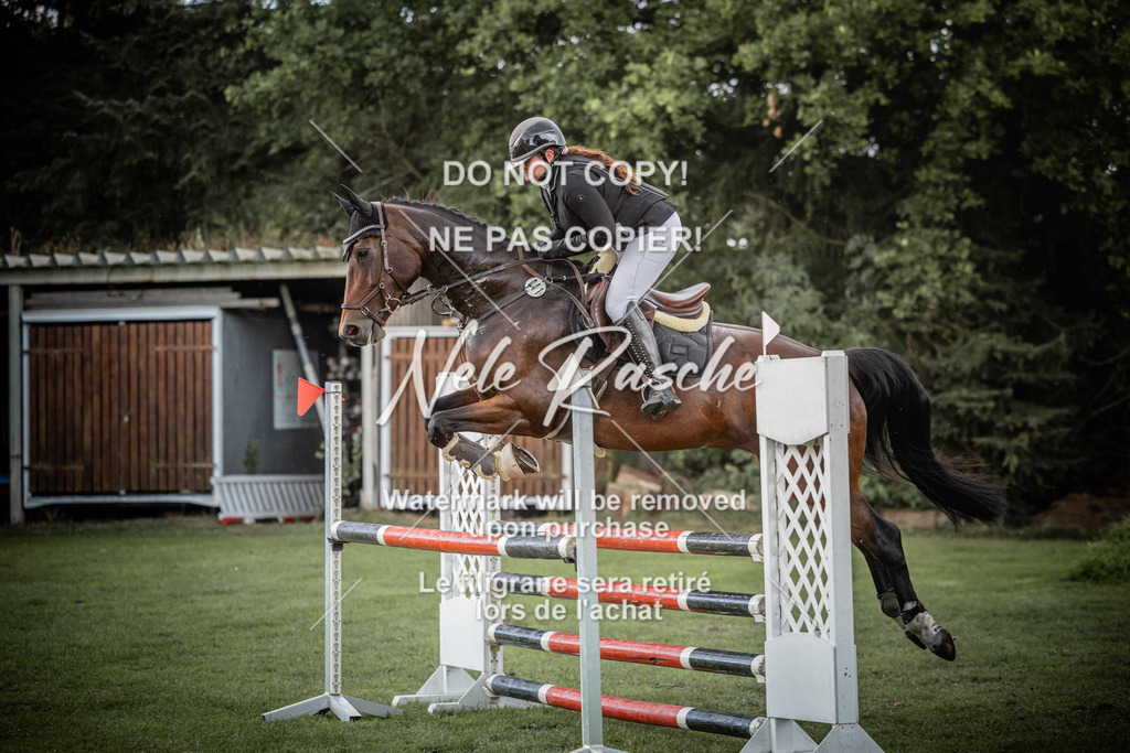 nelerasche_SprA__100Ede_28 | nelerasche