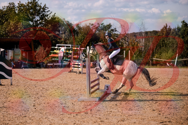 2026_10_03_Siefer-Hof_154508_Z81_63310397 | Professionelle Reitsport-, Turnier- und Eventfotografie von Robert Broda. Galerien mit ausgewählten und bearbeiteten Bildern direkt online ansehen und bestellen.