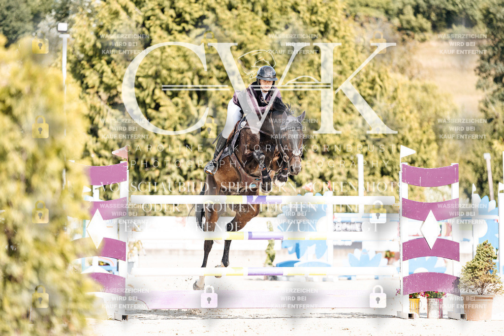 CK908893 | Turnierfotografie Pferdefotografie Trier Rheinland-Pfalz Pferdesport Reitsport Tierfotografie Sportfotografie Pferdevideo Pferdevideografie Equestrianvideography equestrianphotography  - Realisiert mit Pictrs.com