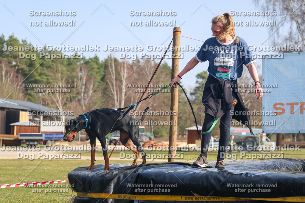 Dog Paparazzi - Strongdog North Mrz26-1843 | Dog Paparazzi Jeanette Grottendiek Fotografie & Videografie - Realisiert mit Pictrs.com