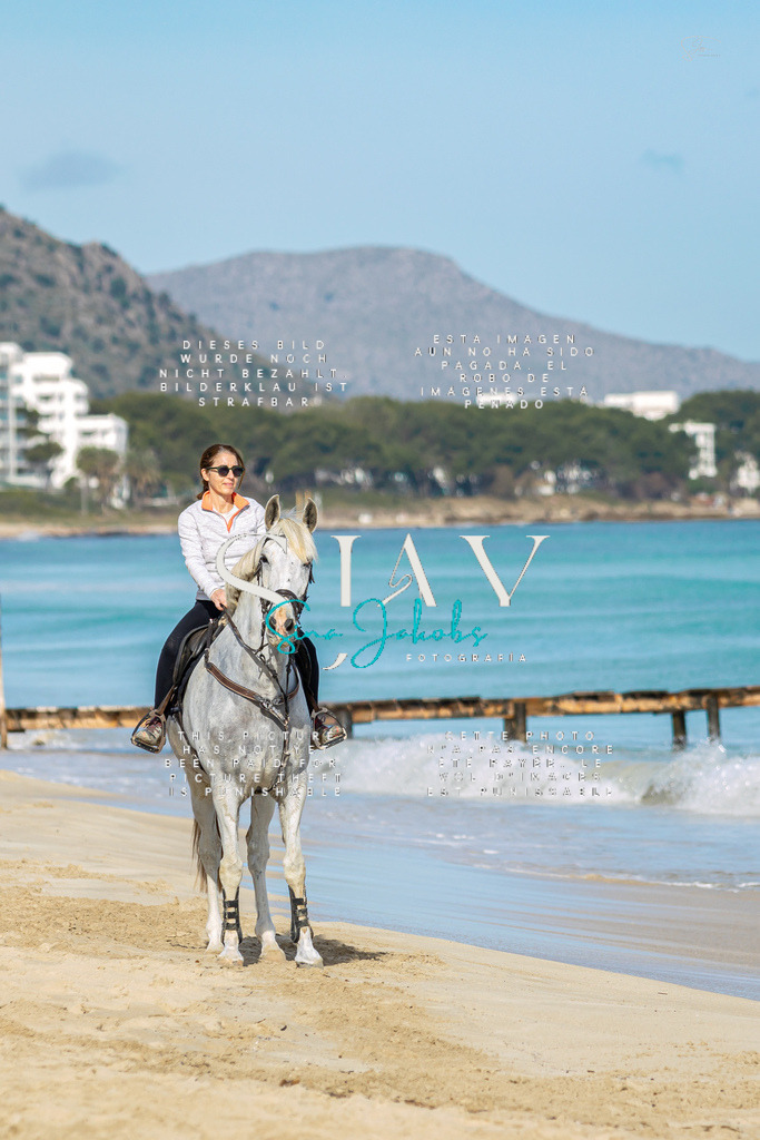 IMG_3071 | s-jay-photography - Realisiert mit Pictrs.com