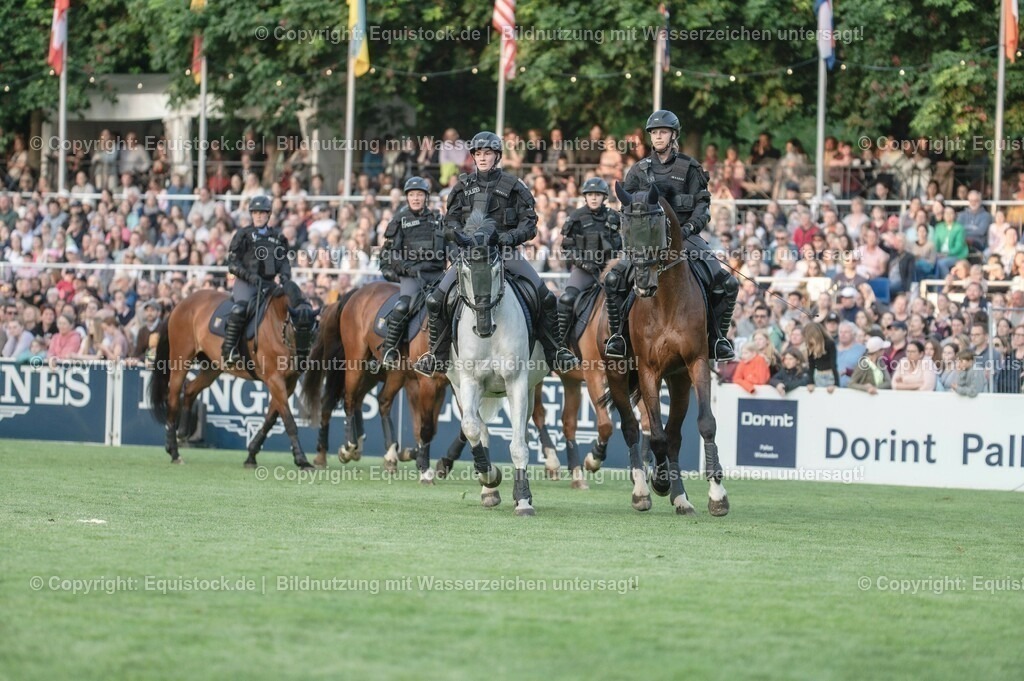 20230526_Pferdenacht_0407 | equistock