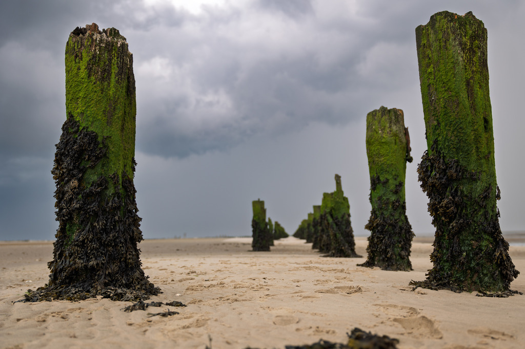 Am Strand von Wangerooge | pressefoto-homann - Realisiert mit Pictrs.com