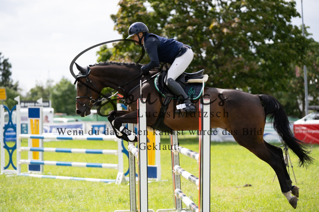 A7V04137 | Pferdefotograf