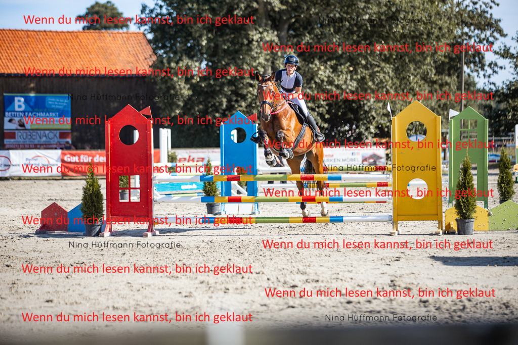 BK1A7336 | Turnierbilder Turnierfotos Nina Hüffmann Turnierfotografie Pferdefotografie Tierzeichnung Haustierzeichnung Pferdezeichnung Hundezeichnung Videograf  - Realisiert mit Pictrs.com