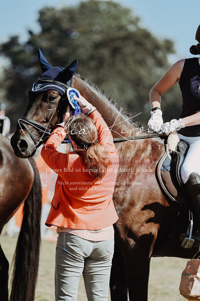 DSC_0088 | Pferde- und Turnierfotografie in Westsachsen. Pferdeportraits, Auftragszeichnungen und intuitive Kunst.