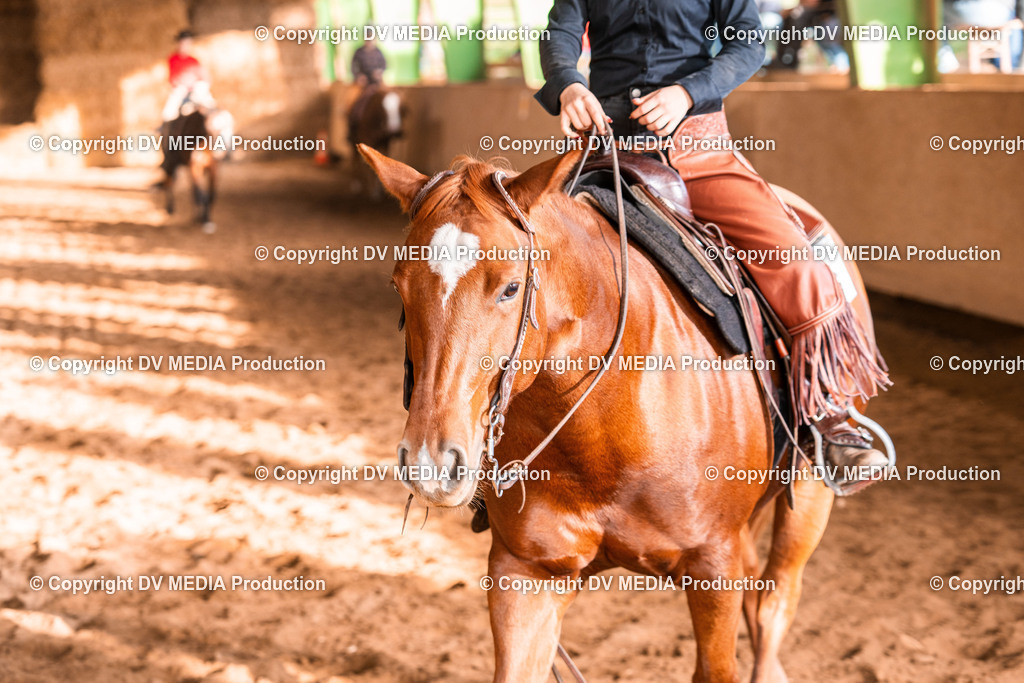 Balingen Tag 2-1577 | dv-media-shop - Realisiert mit Pictrs.com