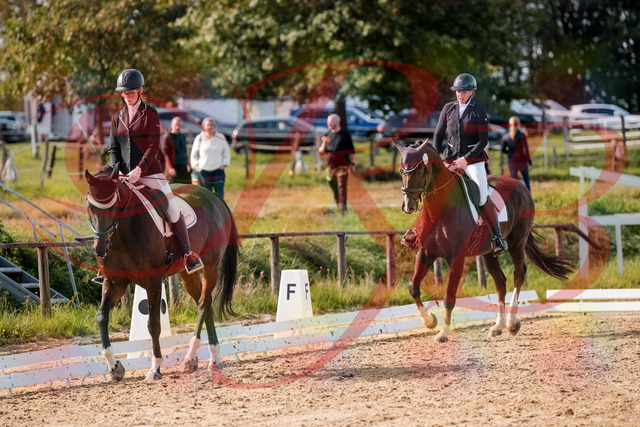 2026_10_03_Siefer-Hof_132132_Z63_83140570 | Professionelle Reitsport-, Turnier- und Eventfotografie von Robert Broda. Galerien mit ausgewählten und bearbeiteten Bildern direkt online ansehen und bestellen.