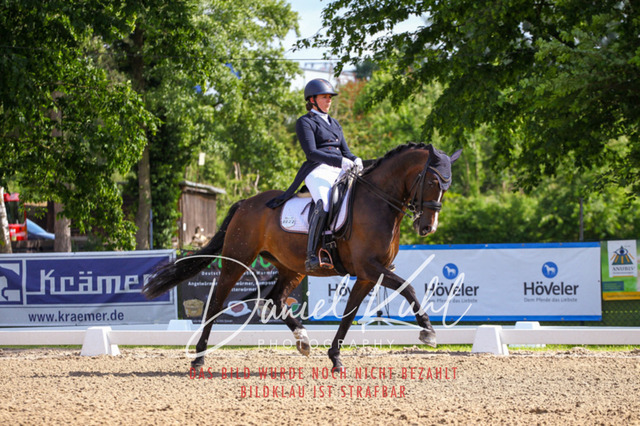 DKP41351 | Turnierfotos kaufen im Webshop von Daniel Kuhl Photography – entdecke professionelle Reitsportfotos aus Turnieren & Events. Hochwertige Turnierbilder online bestellen & sichern. Jetzt Fotos von Reitsportturnieren kaufen!