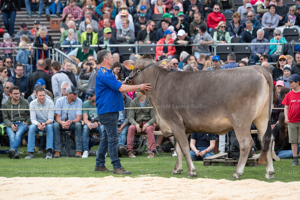 Schwingen -  TG Kantonal 2023 | Neukirch-Egnach, 30.4.23, Schwingen - TG Kantonal.