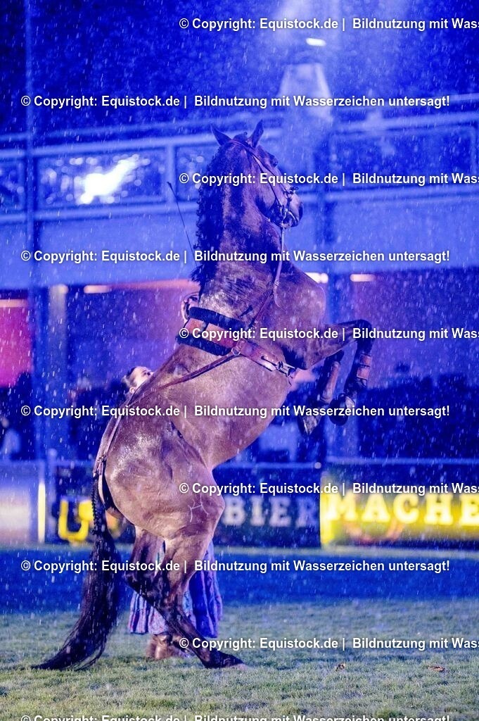 20250606_Lange-Pferdenacht_1148 | Foto: Thomas Hartig