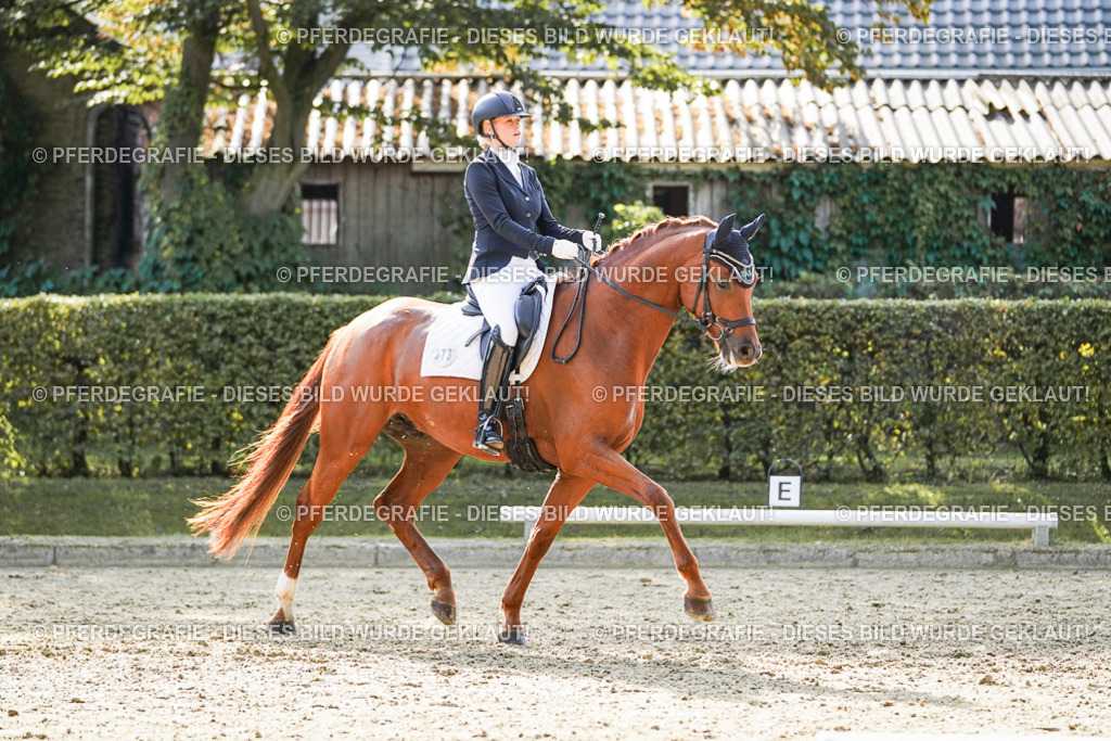 DSC07368 | Pferdegrafie