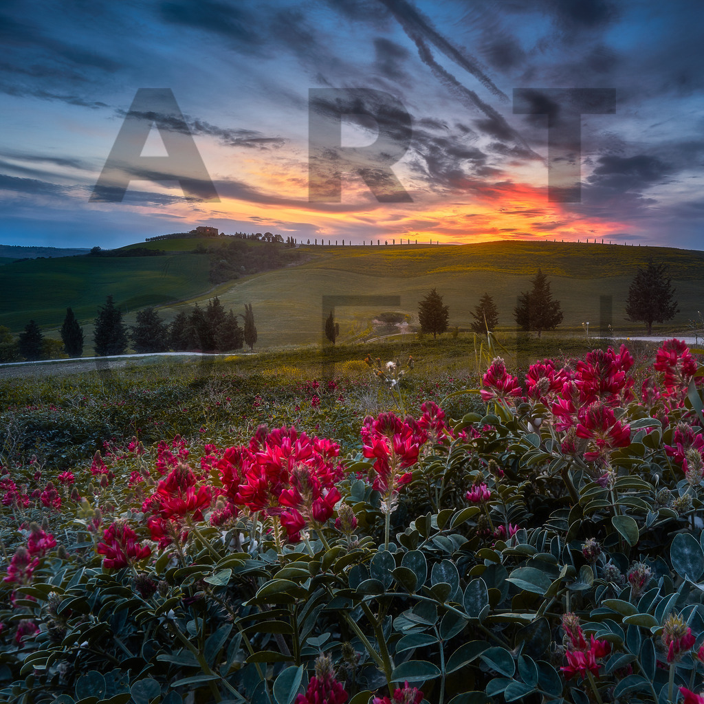 Ein Hans Fineart Original | Entdecke die Kunst von Hans Fineart - Fotografien für dein Zuhause. Verwandle deine Wände mit einzigartigen Kunstwerken und bringe die Schönheit der Welt in dein Leben. Bestelle jetzt und schaffe einen Ort der Inspiration und Eleganz.