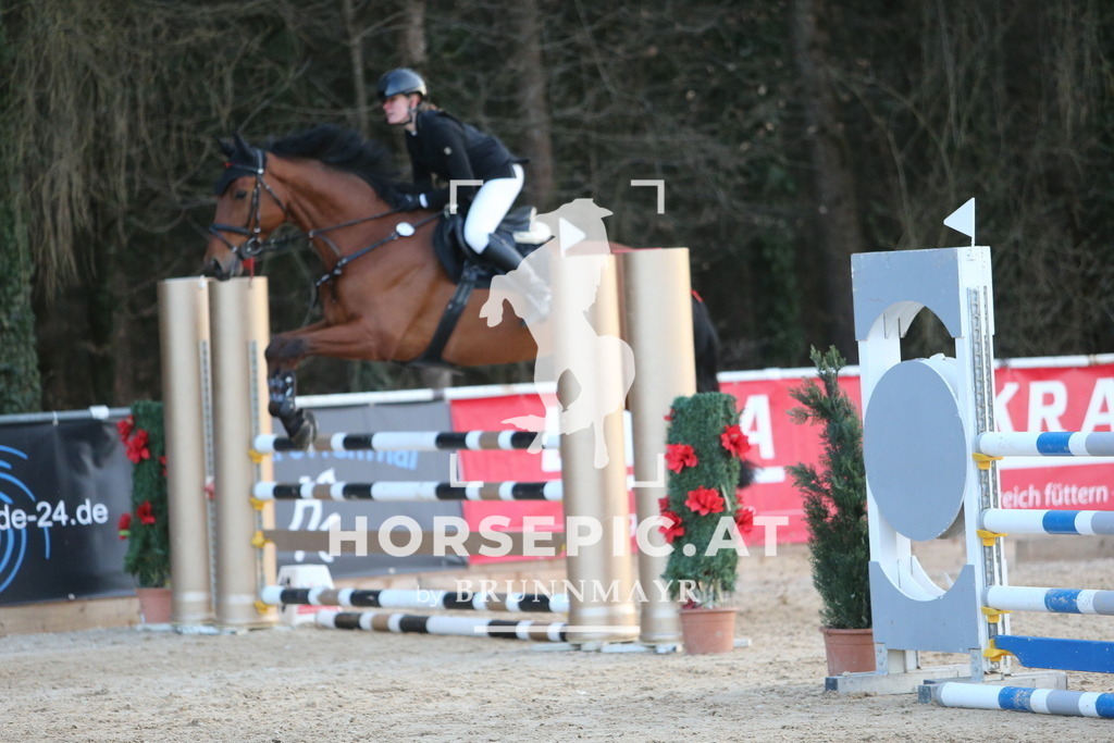 DL2Q4813 | Willkommen bei Brunnmayr - Design & Fotografie – Ihrem Spezialisten für Reitturniere und Pferdeveranstaltungen in Oberösterreich, Salzburg und Bayern! Seit über 17 Jahren sind wir leidenschaftlich dabei.
