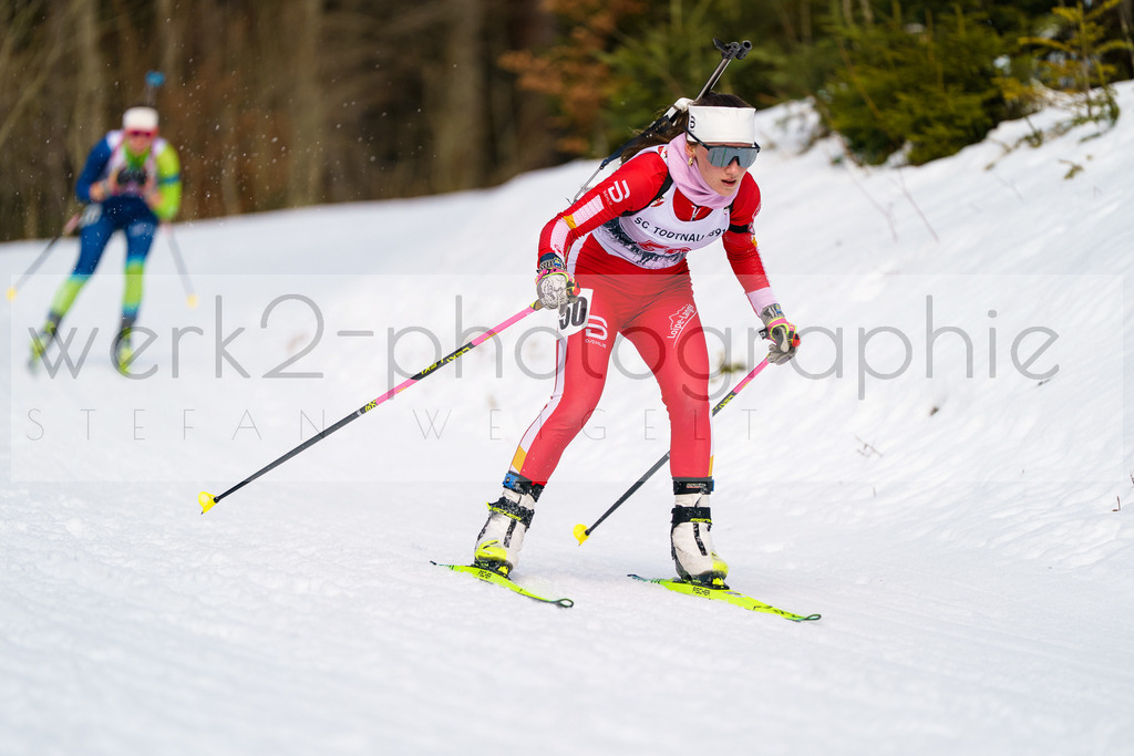 FESA Alpencup / DP Notschrei | Deutschland Pokal Finale im Schwarzwald NORDIC-CENTER Notschrei am 7. - 8. Februar 2026
