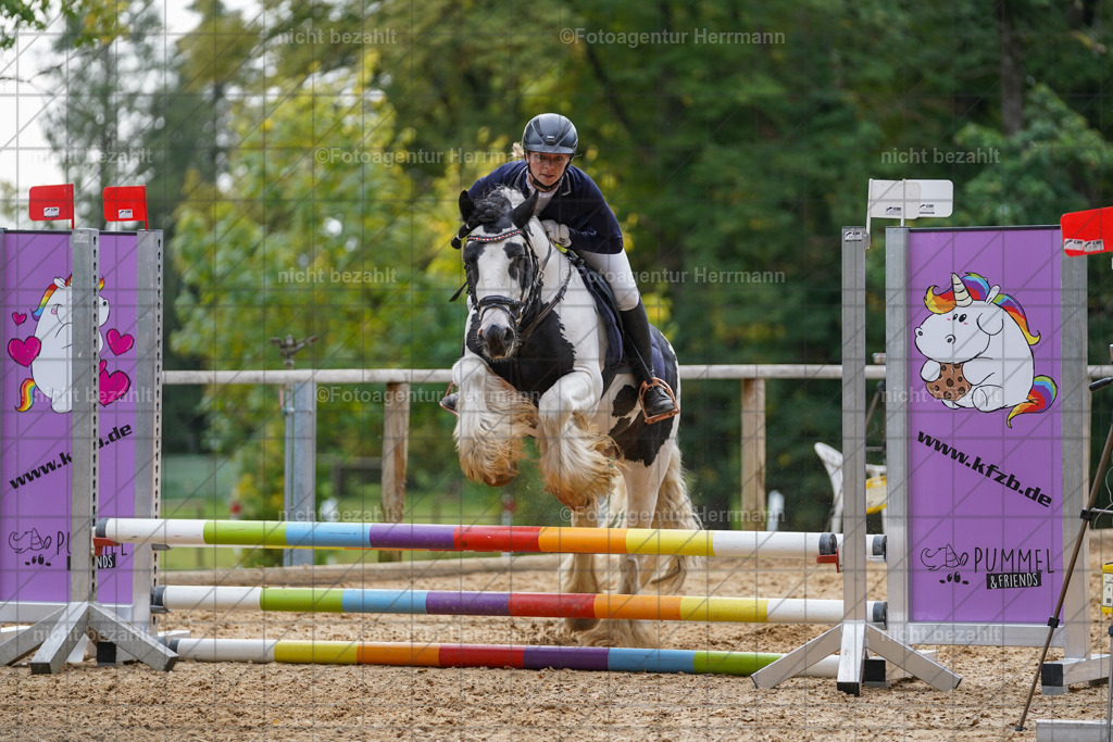 20231008-SN_01200 | Professionelle Turnier- und Reitsportfotografie - mit dem Finger am Auslöser. Pferdebilder aus dem Reitsport von den Turnierfotografen  Bayern , Pferdefotograf Bayern, Pferdeshooting Turnierbilder, Hochzeitsfotograf, Eventfotograf, Hochzeitsbilder