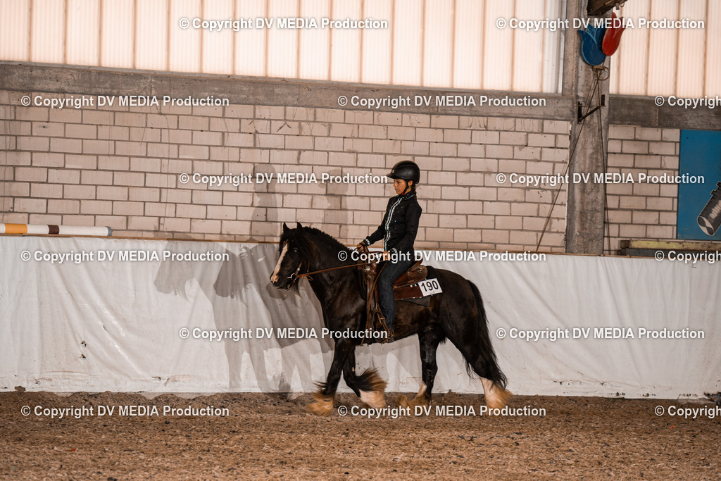 ZH200770 | dv-media-shop - Realisiert mit Pictrs.com