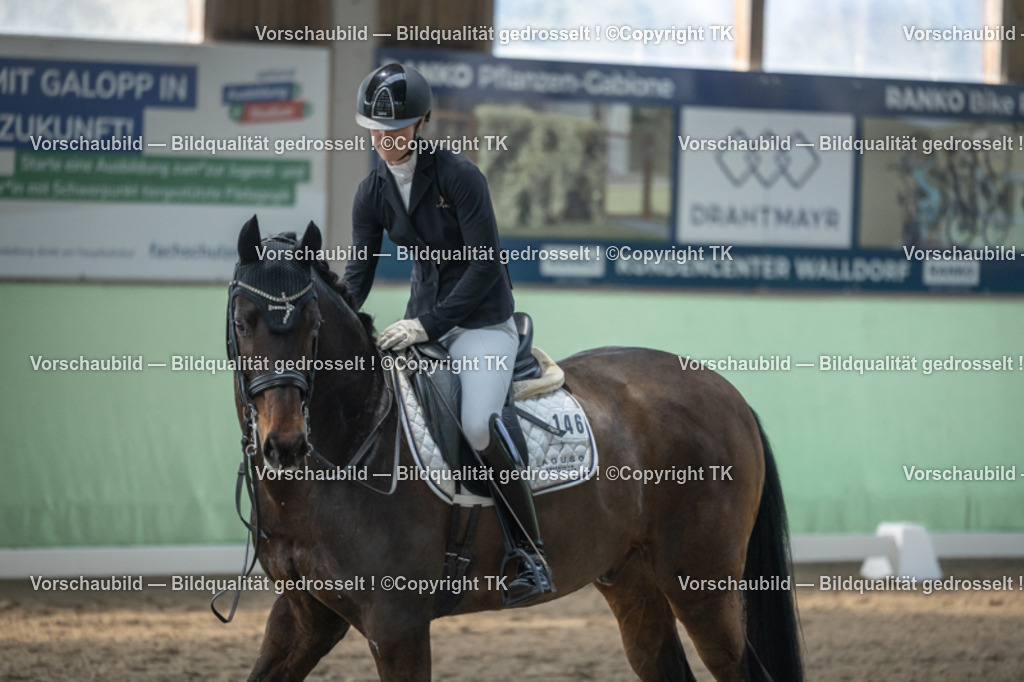 _D5A4503 | Emotionale Pferde- & People-Fotografie rund um Heidelberg, Leimen & Umgebung. Natürliche Fotos von Pferd, Mensch & Familie. Jetzt Termin sichern!