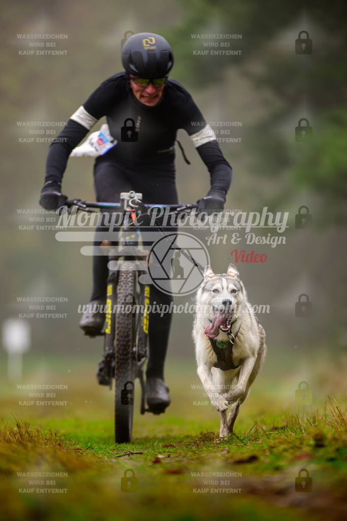 MompixPhotography_Bischwiller2025_Bike-11 | mompixphotography