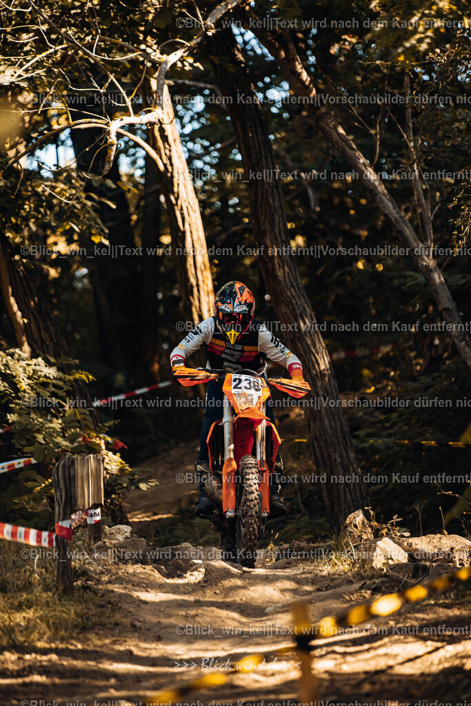 E68A5536 | blick_win_kel